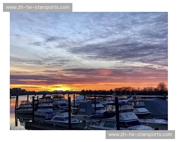 太平洋两岸的灵魂博弈：当温哥华的松针遇上旧金山的迷雾